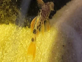 A few random pictures from the past week or so