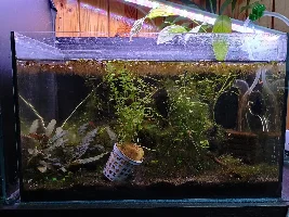 Nano tank - 6 gallons