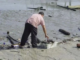 Tsunamis overtakes 8 Countries