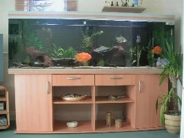 Our 640L Tank
