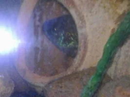 My New Worlds