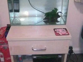 The Salvage / Cheap Shrimp Tank