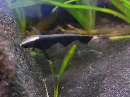 A few random pictures from the past week or so
