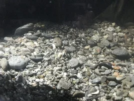 Here I go again 150 gallon reset.