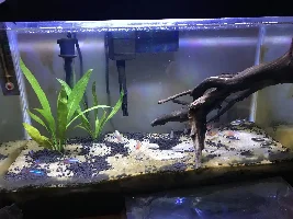 Just got my plants