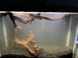 Is this normal?