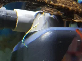Ornament Turned my Pleco's Poo Blue!!  :/