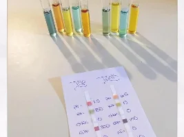 Help Reading This Ph And Loss Of Fish After Water Changes