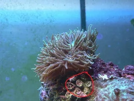 My Tank