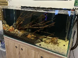 Community Tank Options and Capacity