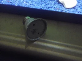 cheap led