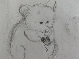 Thread for sharing art