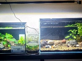 My nano build