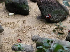 Natural Environment Photos?
