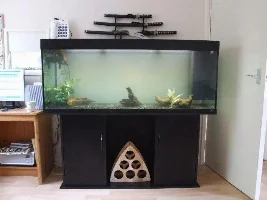 My New Tank