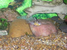 Random pics taken out of boredome.