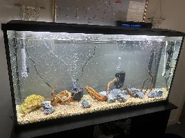 New 55 gallon journal