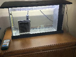 UPDATE: Fry tank setup