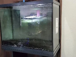 Tank upgrade without cycling