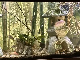 my morning happy place