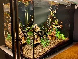 Show me your cube tanks!!