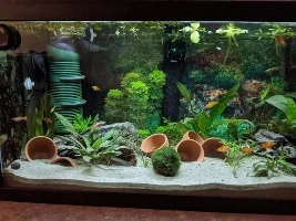 Eheim pickup 160 is WAY too much for 58L/16 G