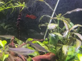 When should I have my co2 on