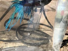 Sick Betta