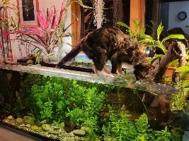 Iti and her love for TFF and all things fish