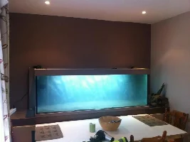 New To Keeping Fish In Cold Country 2 And Photos.