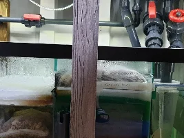 Balancing my flow with the sump