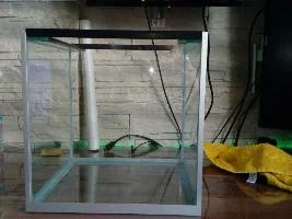 First tank build