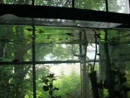 My new tank