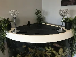 Turning my 50g from artificial to real plants!