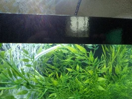 Hiding tide marks.