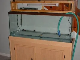55g Discus Tank Progress