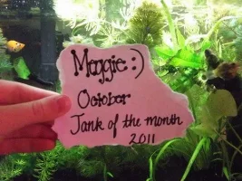 October Totm Competition... Post Your Entries Here!
