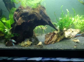 Finally tearing down ugly 57g, building new 36g to replace it!