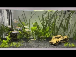 Am I overstocked