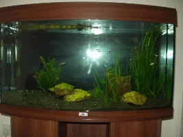 Vision 180 1st Tank