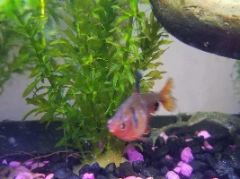 In desperate need of help.