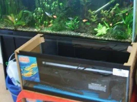 Where Do You Keep Your Corys?