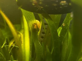 My 60L Cube