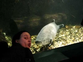 really great fish