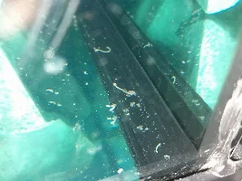 What is this?