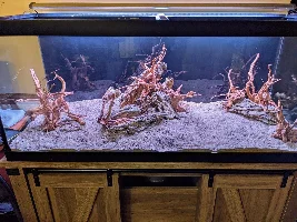 75g planted tank build