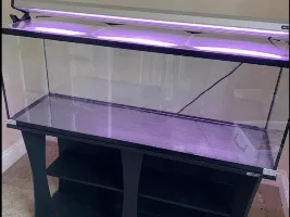 New tank. HELP.