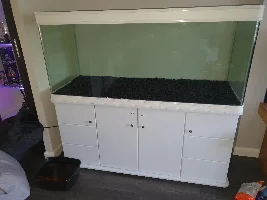 Photo of my 520L tank