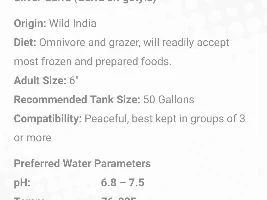 I’ve been researching the more uncommon garras
