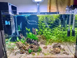 70l Dennerle aquarium